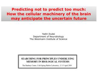 Predicting not to predict too much: How the cellular machinery of the brain