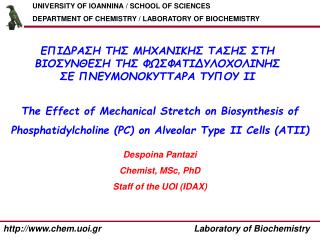Despoina Pantazi Chemist, MSc, PhD Staff of the UOI (IDAX)