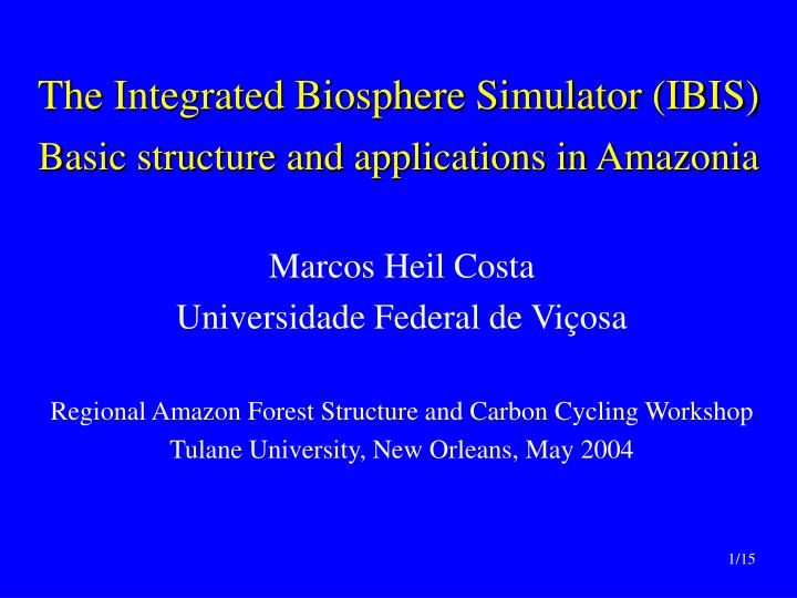 the integrated biosphere simulator ibis basic structure and applications in amazonia