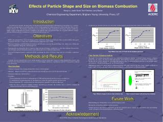 Effects of Particle Shape and Size on Biomass Combustion