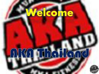 Muay Thai and Mixed Martial Arts Training in Thailand