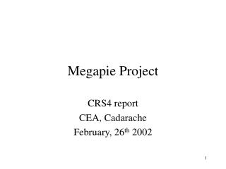 Megapie Project