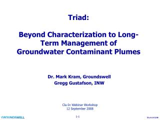 Triad: Beyond Characterization to Long-Term Management of Groundwater Contaminant Plumes