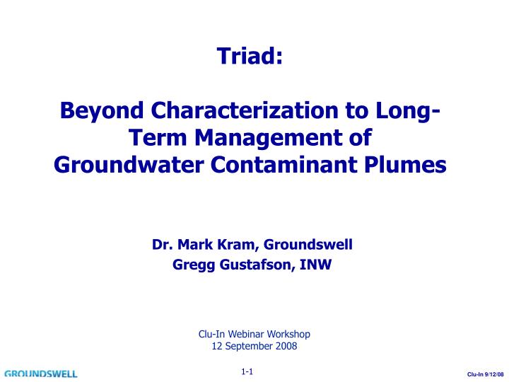 triad beyond characterization to long term management of groundwater contaminant plumes