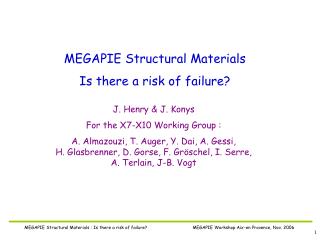 MEGAPIE Structural Materials Is there a risk of failure?