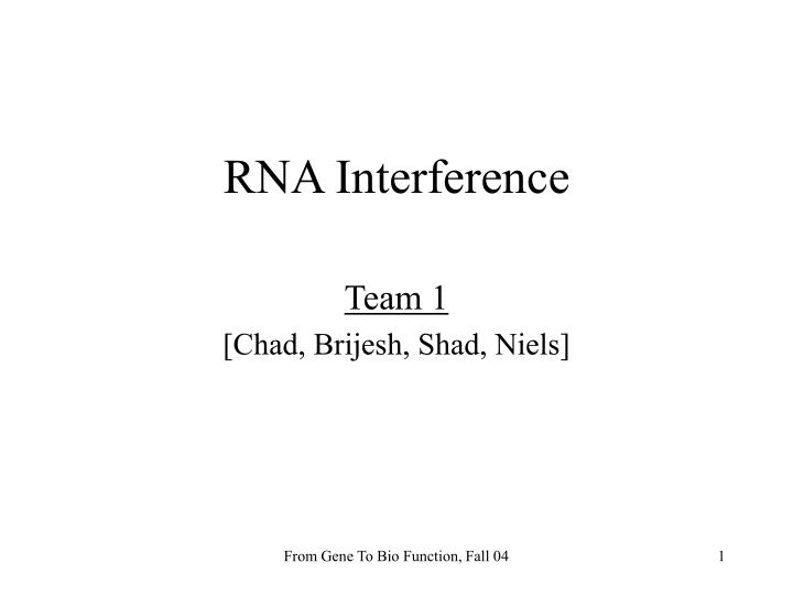 rna interference