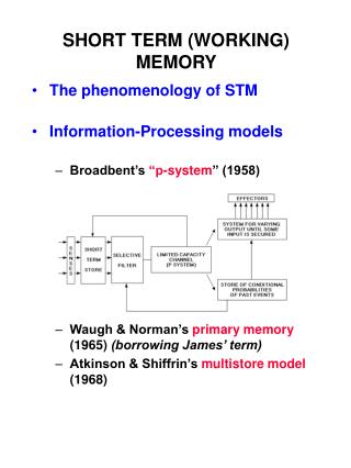 SHORT TERM (WORKING) MEMORY