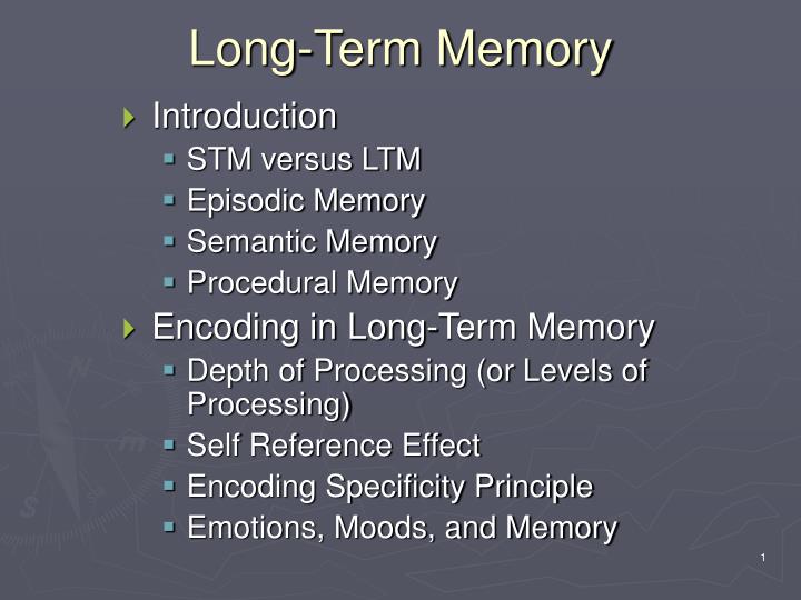 long term memory