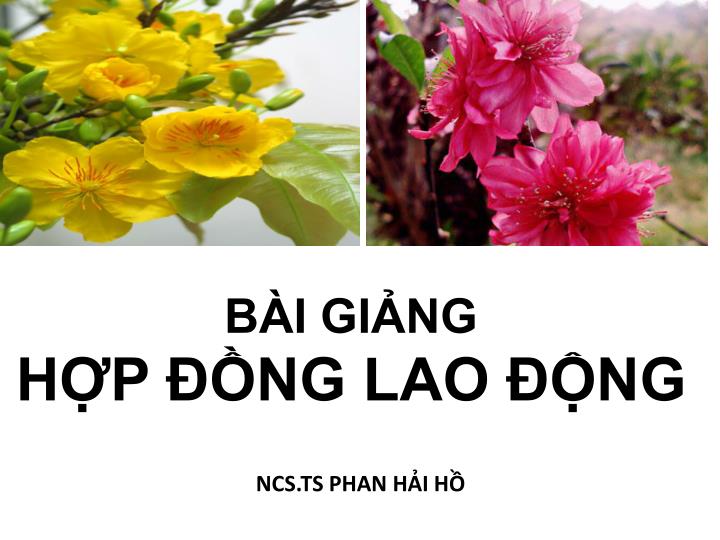 b i gi ng h p ng lao ng