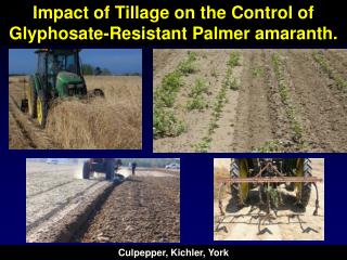 Impact of Tillage on the Control of Glyphosate-Resistant Palmer amaranth.