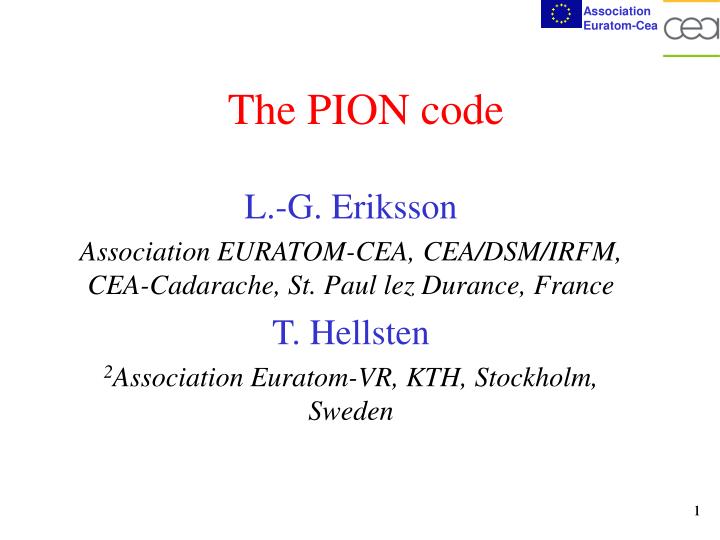 the pion code