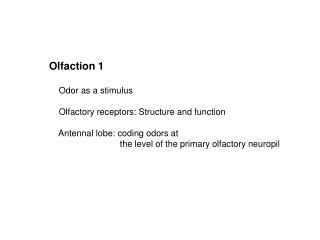 Olfaction 1 Odor as a stimulus Olfactory receptors: Structure and function
