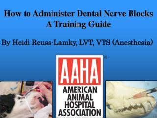 How to Administer Dental Nerve Blocks A Training Guide