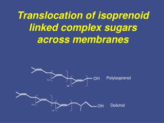 Translocation of isoprenoid linked complex sugars across membranes