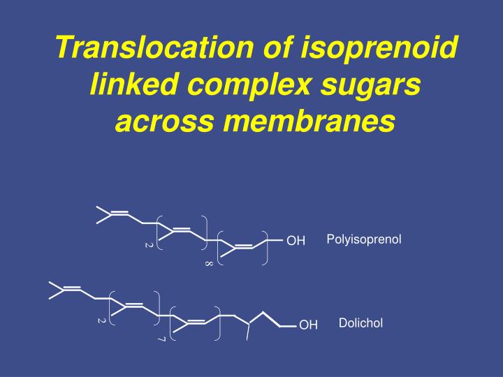 translocation of isoprenoid linked complex sugars across membranes