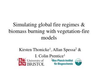 Simulating global fire regimes &amp; biomass burning with vegetation-fire models