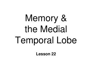 Memory &amp; the Medial Temporal Lobe