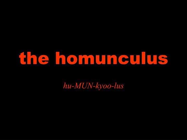 the homunculus