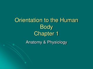 Orientation to the Human Body Chapter 1
