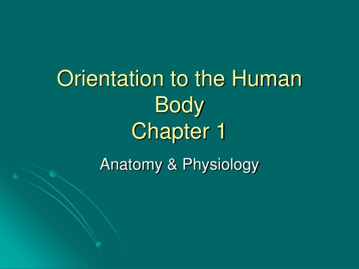 orientation to the human body chapter 1