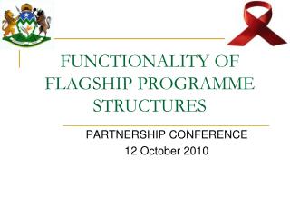 FUNCTIONALITY OF FLAGSHIP PROGRAMME STRUCTURES