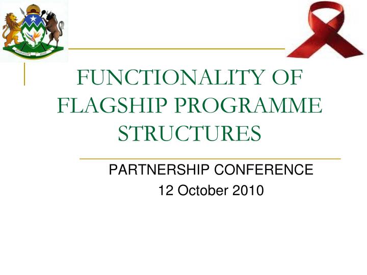 functionality of flagship programme structures