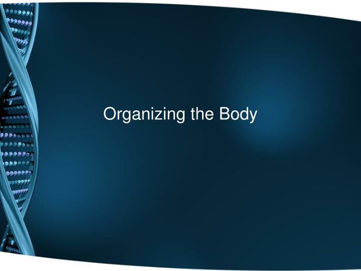 organizing the body