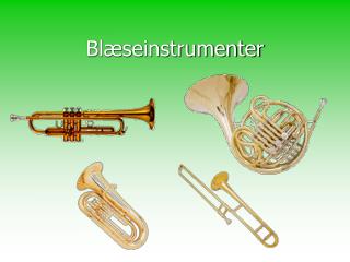 bl seinstrumenter