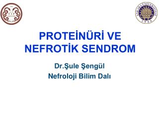 prote n r ve nefrot k sendrom