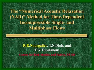 R.R.Nourgaliev , T.N.Dinh, and T.G.Theofanous Center for Risk Studies and Safety, UCSB