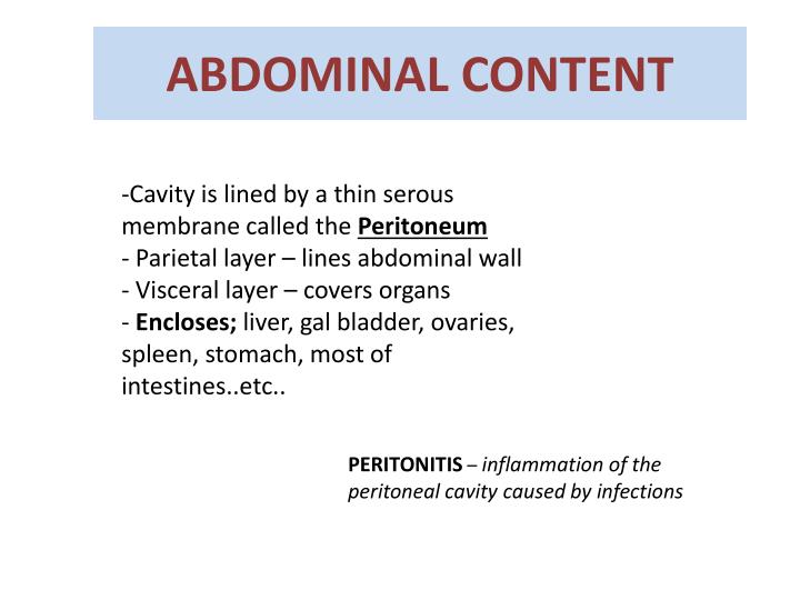 abdominal content