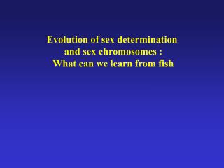 Evolution of sex determination and sex chromosomes : What can we learn from fish