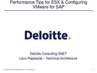 Performance Tips for ESX &amp; Configuring VMware for SAP