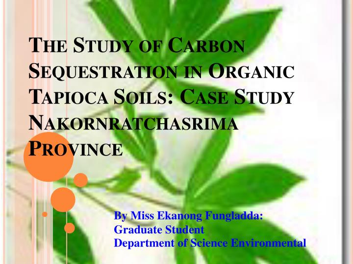 the study of carbon sequestration in organic tapioca soils case study nakornratchasrima province