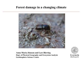 Forest damage in a changing climate