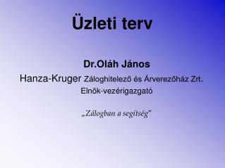 zleti terv