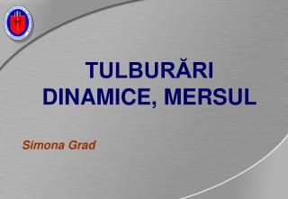 tulbur ri dinamice mersul