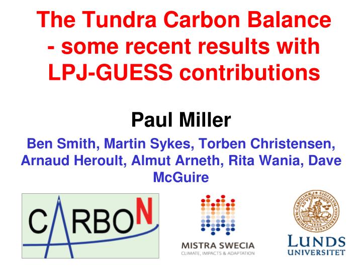 the tundra carbon balance some recent results with lpj guess contributions