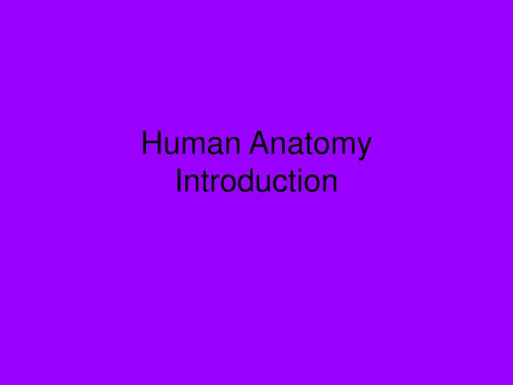 human anatomy introduction