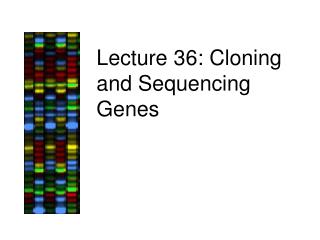 Lecture 36: Cloning and Sequencing Genes