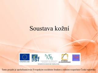 soustava ko n