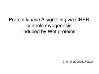 Protein kinase A signalling via CREB controls myogenesis induced by Wnt proteins