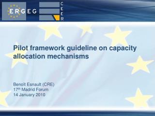 Pilot framework guideline on capacity allocation mechanisms