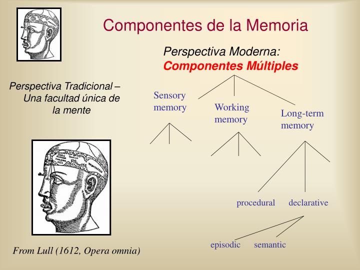 componentes de la memoria