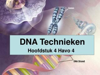 dna technieken