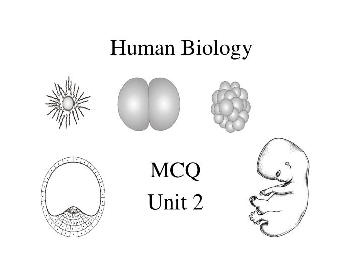 human biology