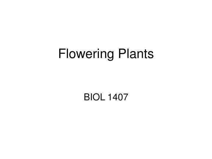 flowering plants