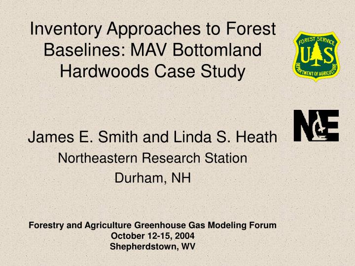 inventory approaches to forest baselines mav bottomland hardwoods case study