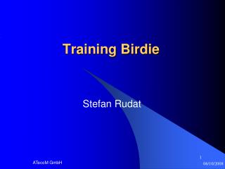 Training Birdie