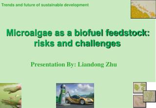 Microalgae as a biofuel feedstock: risks and challenges